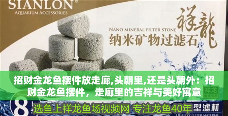 招財金龍魚擺件放走廊,頭朝里,還是頭朝外：招財金龍魚擺件，走廊里的吉祥與美好寓意