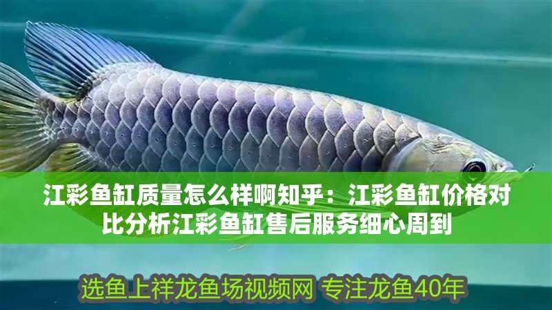 江彩魚缸質(zhì)量怎么樣啊知乎：江彩魚缸價(jià)格對比分析江彩魚缸售后服務(wù)細(xì)心周到 江彩魚缸質(zhì)量怎么樣啊知乎：江彩魚缸價(jià)格對比分析江彩魚缸售后服務(wù)細(xì)心周到 魚缸百科