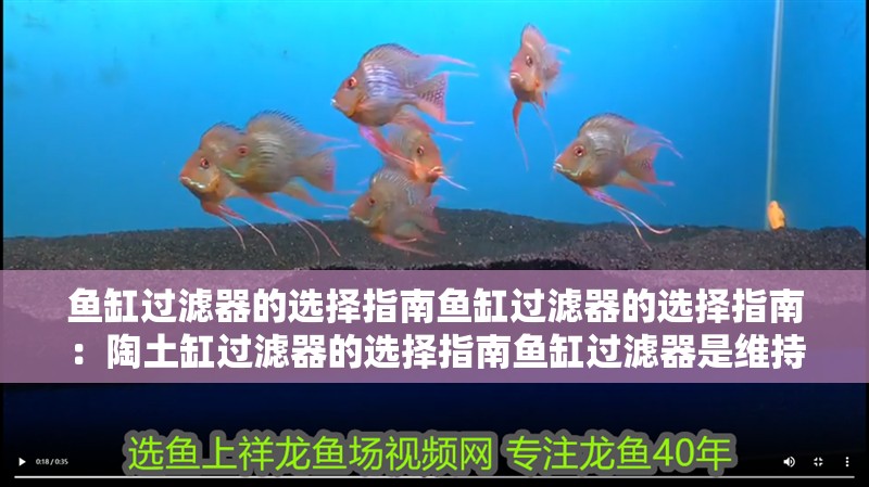 魚缸過濾器的選擇指南魚缸過濾器的選擇指南：陶土缸過濾器的選擇指南魚缸過濾器是維持水質清澈的關鍵