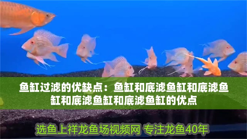 魚缸過濾的優缺點：魚缸和底濾魚缸和底濾魚缸和底濾魚缸和底濾魚缸的優點