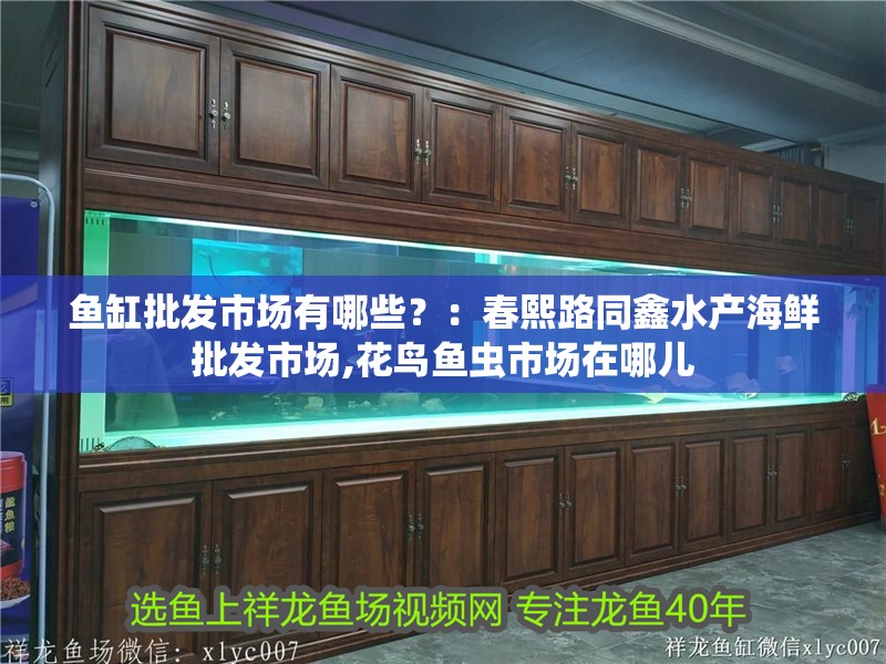 魚缸批發(fā)市場有哪些？：春熙路同鑫水產(chǎn)海鮮批發(fā)市場,花鳥魚蟲市場在哪兒