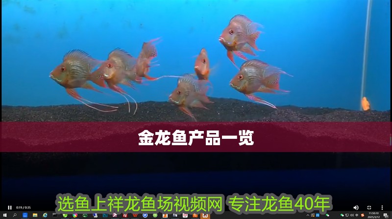 龍魚干蝦有營養(yǎng)嗎 金龍魚產(chǎn)品一覽 龍魚論壇 金龍魚產(chǎn)品一覽 金龍魚產(chǎn)品一覽 龍魚論壇