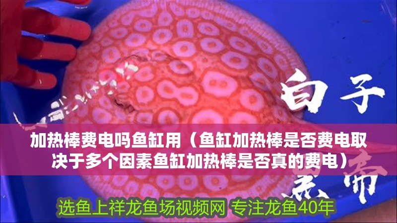 加熱棒費電嗎魚缸用（魚缸加熱棒是否費電取決于多個因素魚缸加熱棒是否真的費電）