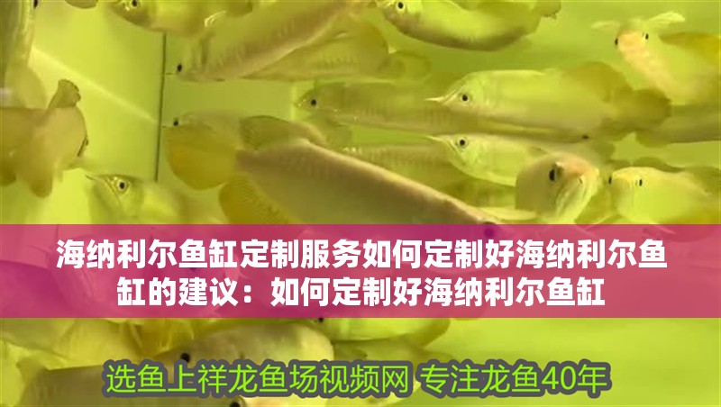海納利爾魚(yú)缸定制服務(wù)如何定制好海納利爾魚(yú)缸的建議：如何定制好海納利爾魚(yú)缸