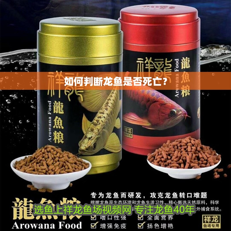 如何判斷龍魚是否死亡？