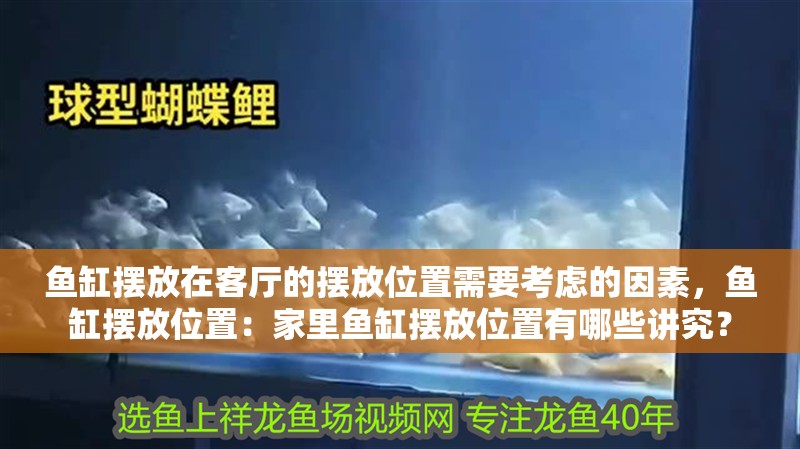 魚缸擺放在客廳的擺放位置需要考慮的因素，魚缸擺放位置：家里魚缸擺放位置有哪些講究？