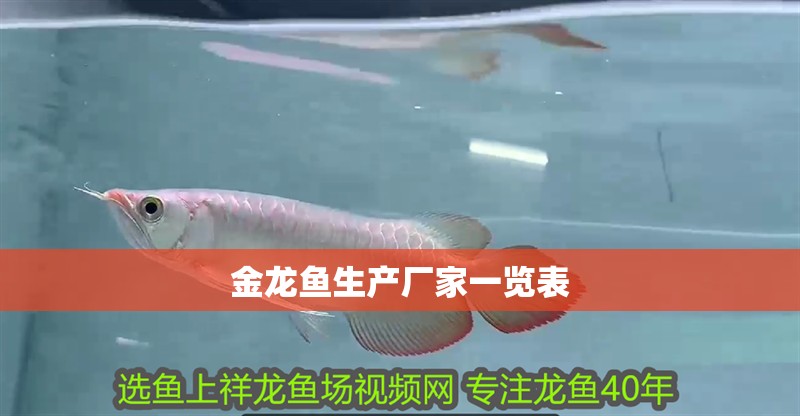 金龍魚生產廠家一覽表