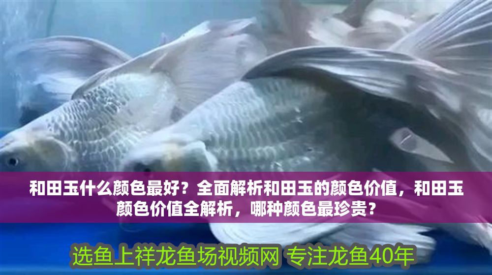 <strong><mark>和田</mark></strong>玉什么顏色最好？全面解析<strong><mark>和田</mark></strong>玉的顏色價值，<strong><mark>和田</mark></strong>玉顏色價值全解析，哪種顏色最珍貴？