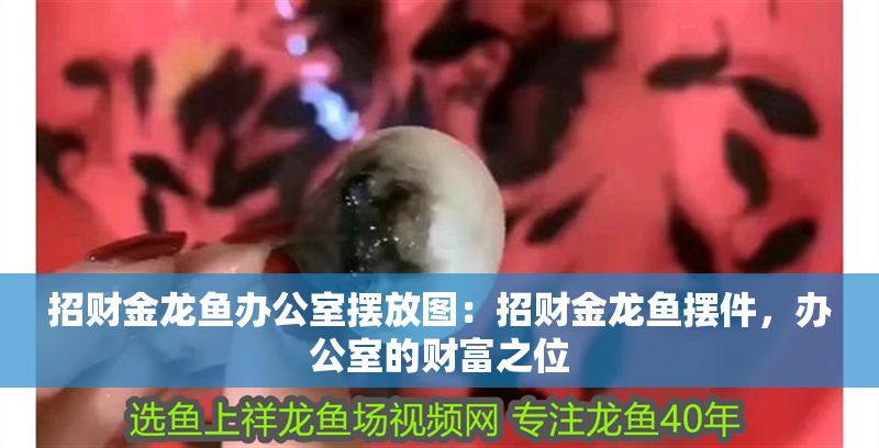 招財金龍魚辦公室擺放圖：招財金龍魚擺件，辦公室的財富之位