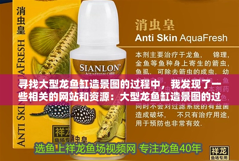 尋找大型龍魚(yú)缸造景圖的過(guò)程中，我發(fā)現(xiàn)了一些相關(guān)的網(wǎng)站和資源：大型龍魚(yú)缸造景圖的過(guò)程中我發(fā)現(xiàn)了一些相關(guān)的網(wǎng)站和資源