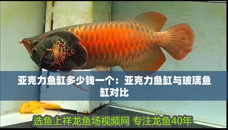 亞克力魚缸多少錢一個：亞克力魚缸與玻璃魚缸對比