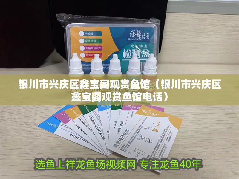 銀川市興慶區(qū)鑫寶閣觀賞魚館（銀川市興慶區(qū)鑫寶閣觀賞魚館電話）