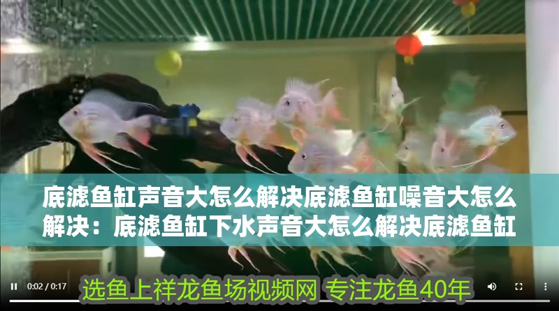 底濾魚缸聲音大怎么解決底濾魚缸噪音大怎么解決：底濾魚缸下水聲音大怎么解決底濾魚缸噪音大怎么解決