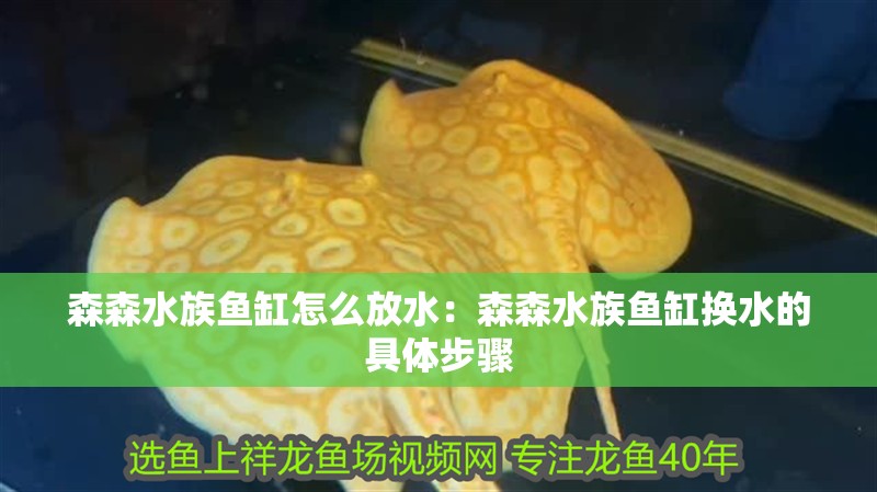 森森水族魚缸怎么放水：森森水族魚缸換水的具體步驟