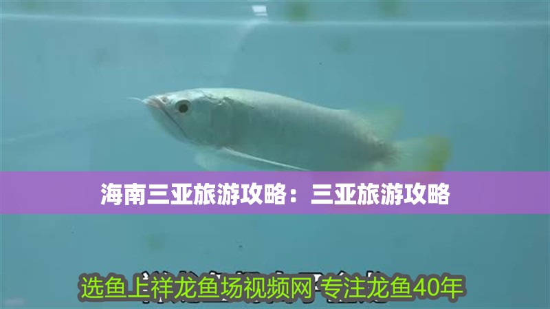 海南三亞旅游攻略：三亞旅游攻略