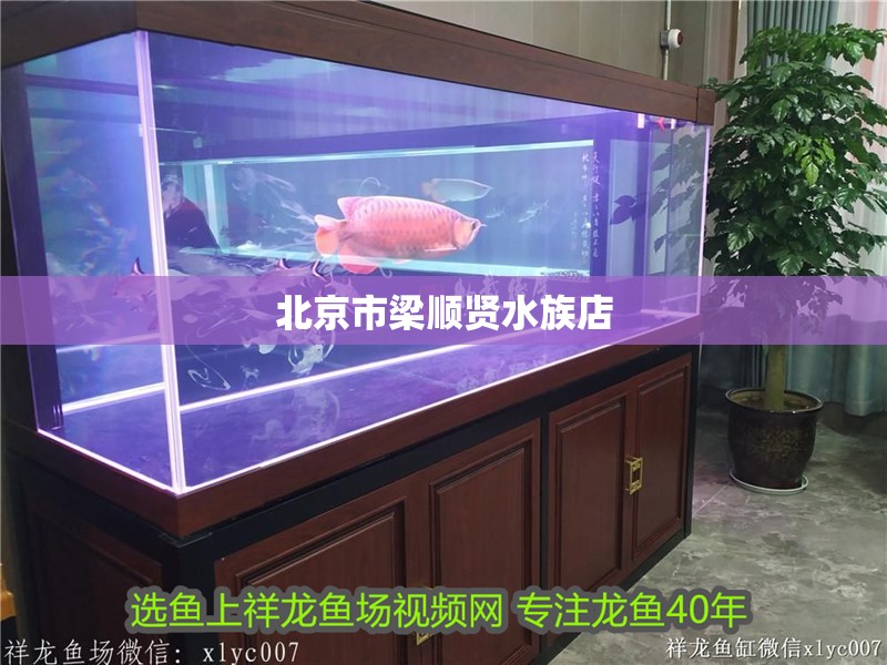 北京市梁順賢水族店