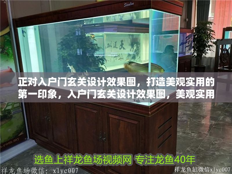 正對入戶門玄關設計效果圖，打造美觀實用的第一印象，入戶門玄關設計效果圖，美觀實用打造完美第一印象