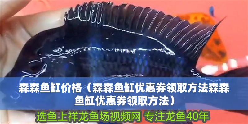 森森魚缸價格（森森魚缸優惠券領取方法森森魚缸優惠券領取方法）