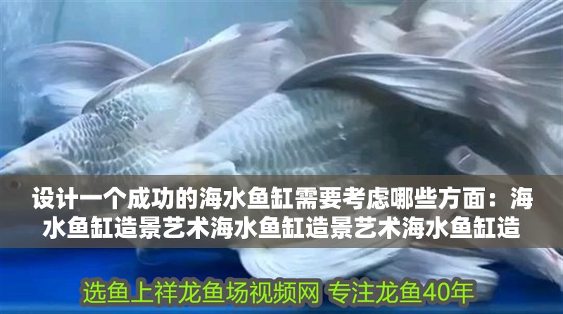 設計一個成功的海水魚缸需要考慮哪些方面：海水魚缸造景藝術海水魚缸造景藝術海水魚缸造景技巧