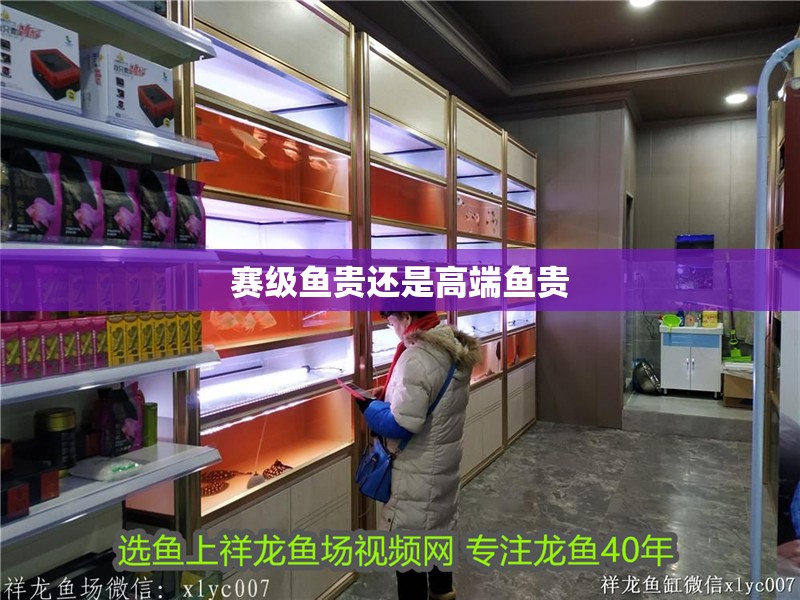賽級魚貴還是高端魚貴