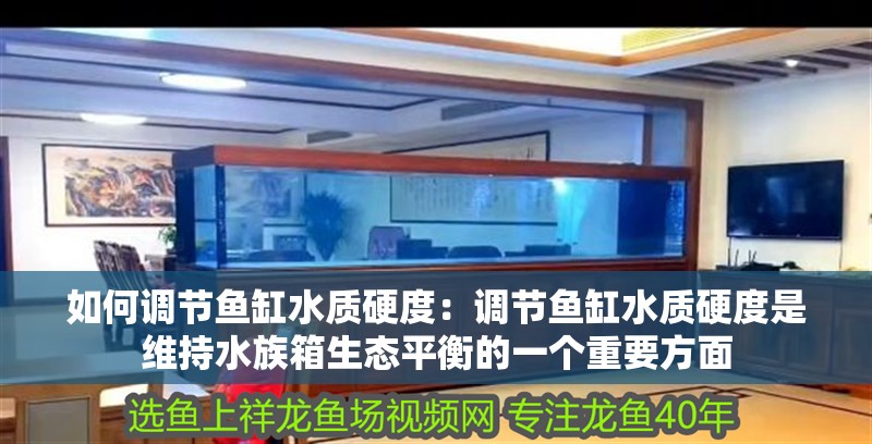如何調(diào)節(jié)魚(yú)缸水質(zhì)硬度：調(diào)節(jié)魚(yú)缸水質(zhì)硬度是維持水族箱生態(tài)平衡的一個(gè)重要方面