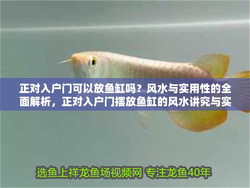 正對入戶門可以放魚缸嗎？風水與實用性的全面解析，正對入戶門擺放魚缸的風水講究與實用建議