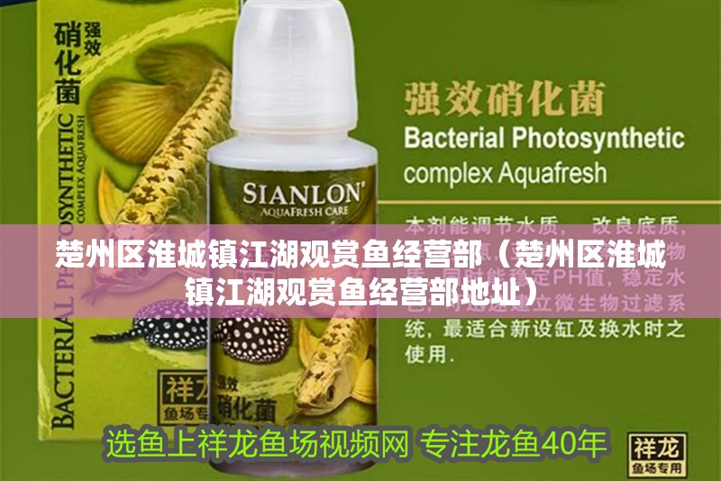 楚州區(qū)淮城鎮(zhèn)江湖觀賞魚經(jīng)營(yíng)部（楚州區(qū)淮城鎮(zhèn)江湖觀賞魚經(jīng)營(yíng)部地址）