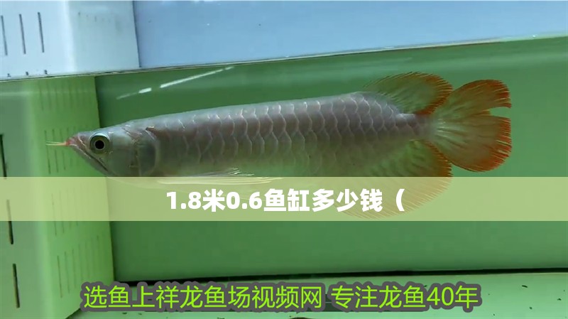 1.8米0.6魚缸多少錢（