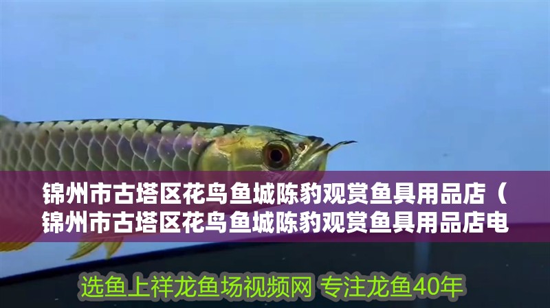 錦州市古塔區花鳥魚城陳豹觀賞魚具用品店（錦州市古塔區花鳥魚城陳豹觀賞魚具用品店電話）