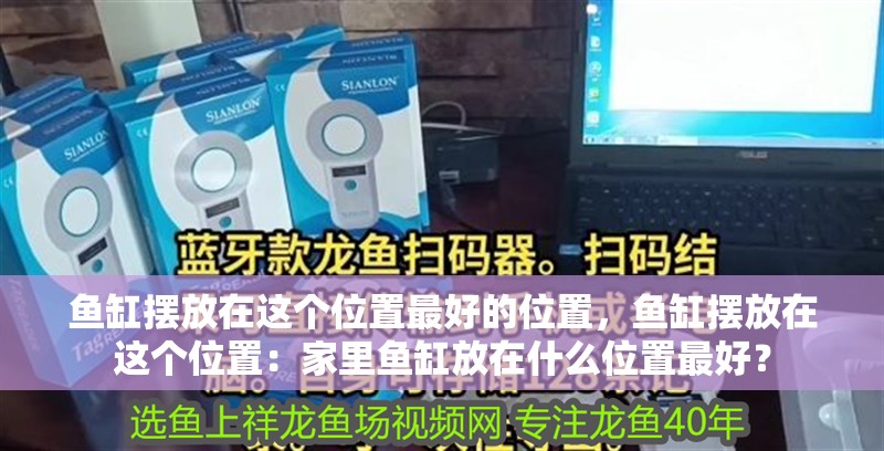魚缸擺放在這個位置最好的位置，魚缸擺放在這個位置：家里魚缸放在什么位置最好？