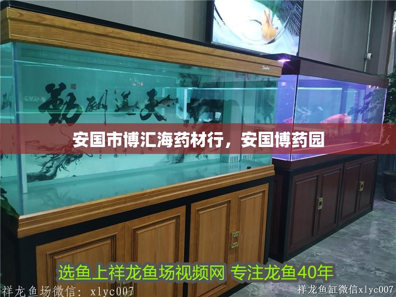 安國市博匯海藥材行，安國博藥園