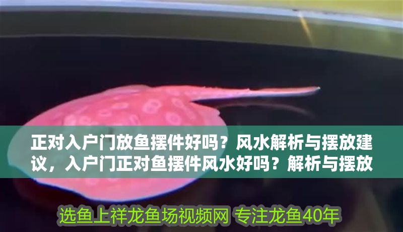 正對入戶門放魚擺件好嗎？風水解析與擺放建議，入戶門正對魚擺件風水好嗎？解析與擺放禁忌