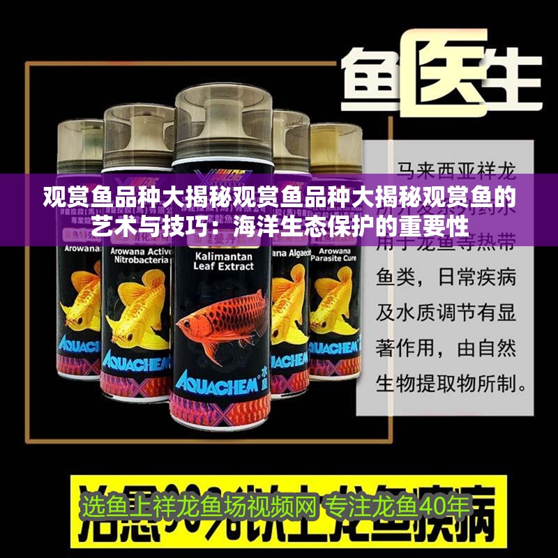 觀賞魚品種大揭秘觀賞魚品種大揭秘觀賞魚的藝術與技巧：海洋生態保護的重要性