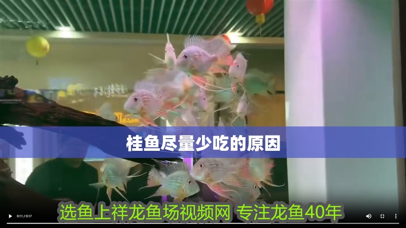 桂魚盡量少吃的原因