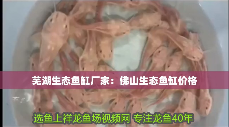 蕪湖生態魚缸廠家：佛山生態魚缸價格