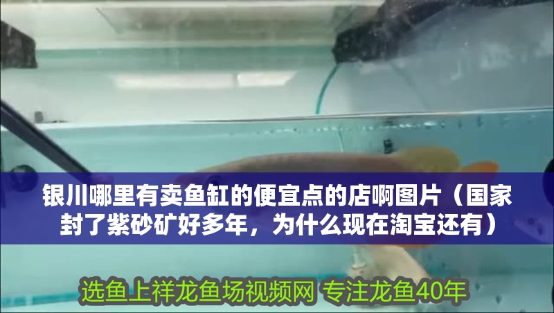 銀川哪里有賣魚缸的便宜點的店啊圖片（國家封了紫砂礦好多年，為什么現在淘寶還有）