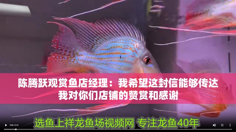 陳騰躍觀賞魚店經理：我希望這封信能夠傳達我對你們店鋪的贊賞和感謝