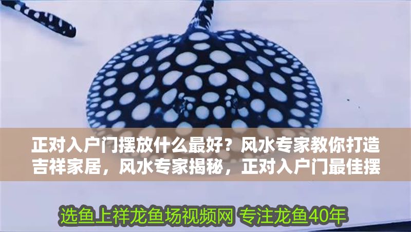 正對入戶門擺放什么最好？風水專家教你打造吉祥家居，風水專家揭秘，正對入戶門最佳擺放物品，助你打造吉祥家居！
