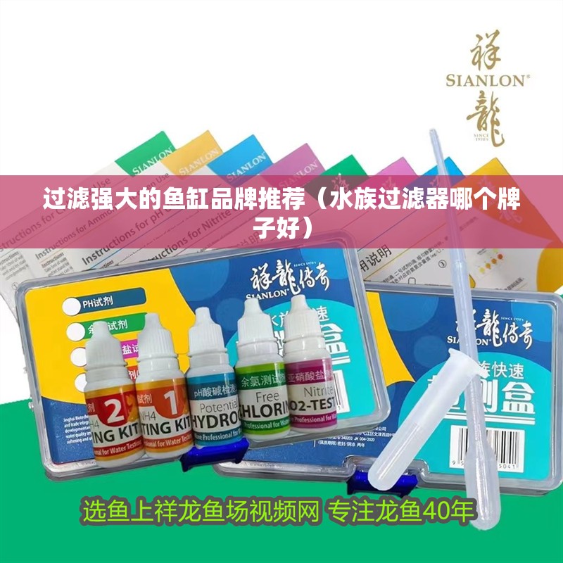 過濾強大的魚缸品牌推薦（水族過濾器哪個牌子好）