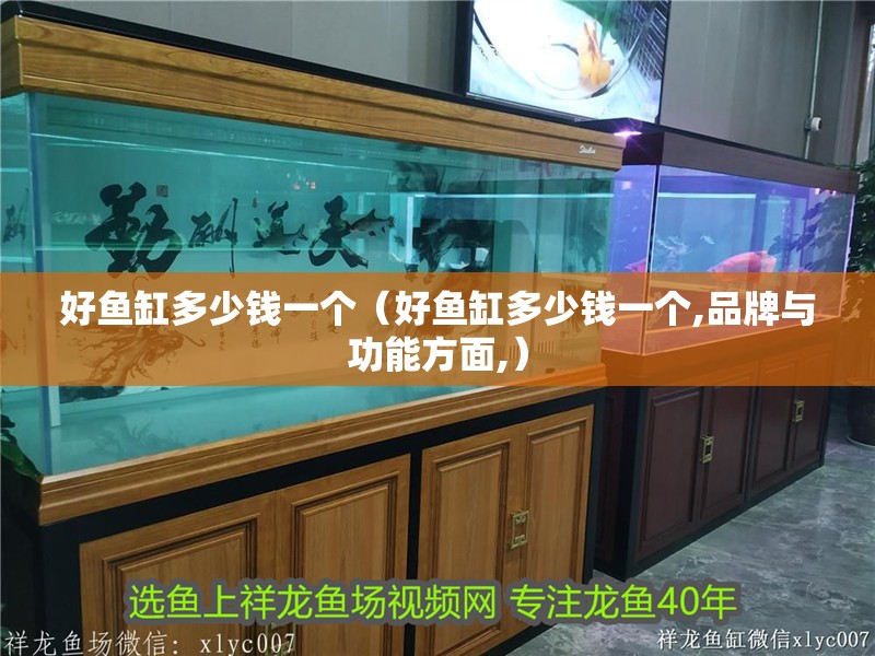 好魚缸多少錢一個（好魚缸多少錢一個,品牌與功能方面,）