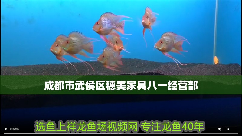 成都市武侯區(qū)穗美家具八一經(jīng)營部