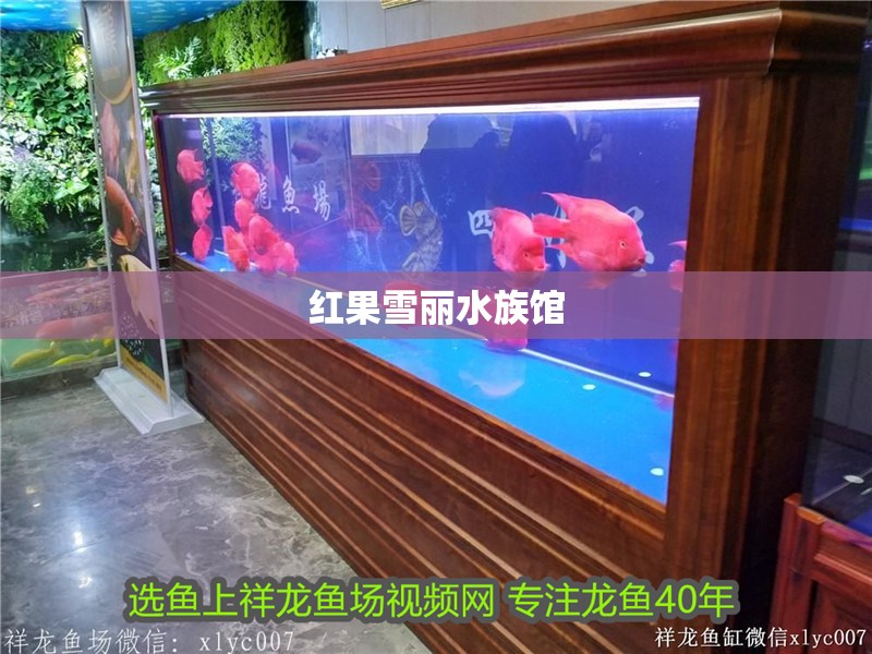紅果雪麗水族館
