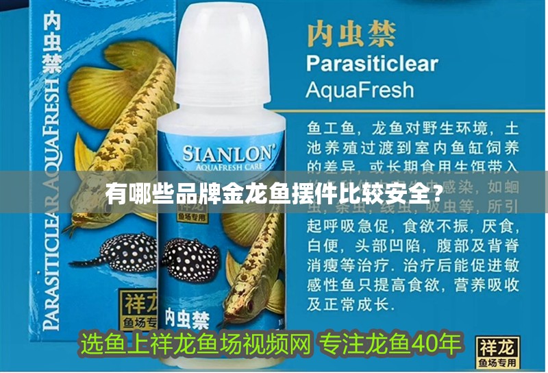 有哪些品牌金龍魚擺件比較安全？