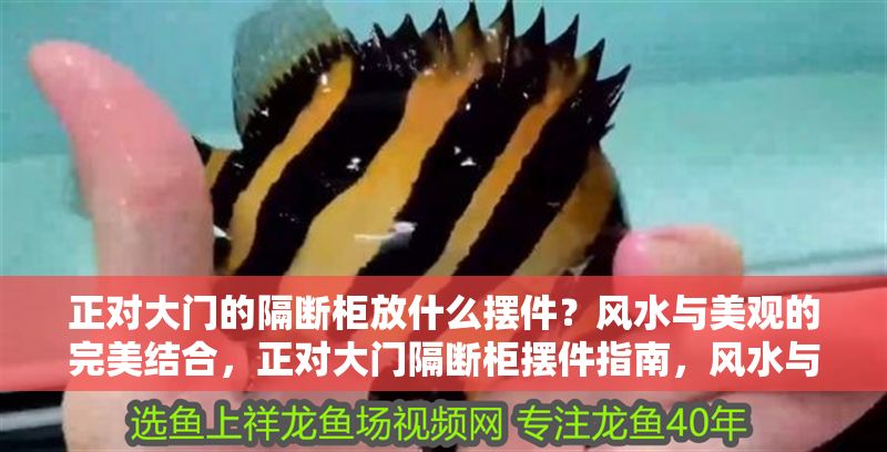 正對大門的隔斷柜放什么擺件？風水與美觀的完美結合，正對大門隔斷柜擺件指南，風水與美觀的巧妙平衡