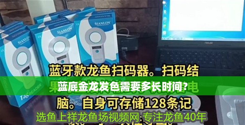 藍底金龍發色需要多長時間？