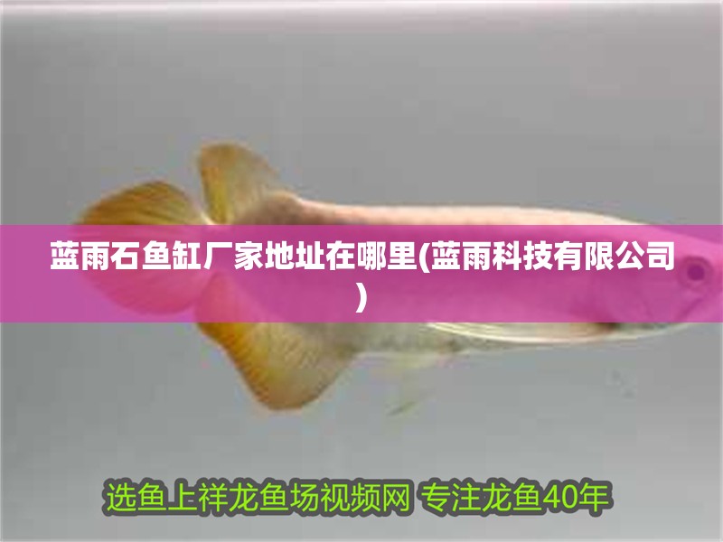 藍(lán)雨石魚缸廠家地址在哪里(藍(lán)雨科技有限公司)