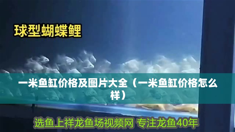 一米魚缸價(jià)格及圖片大全（一米魚缸價(jià)格怎么樣）