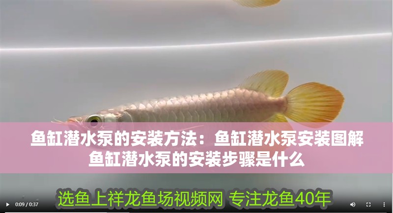 魚缸潛水泵的安裝方法：魚缸潛水泵安裝圖解魚缸潛水泵的安裝步驟是什么