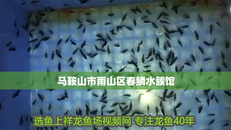 馬鞍山市雨山區春鱗水簇館 馬鞍山市雨山區春鱗水簇館 全國水族館企業名錄