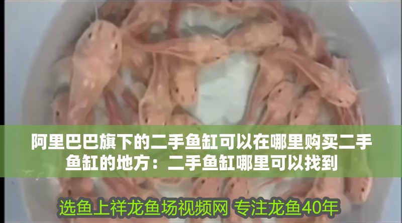<strong><mark>阿里</mark></strong>巴巴旗下的二手魚缸可以在哪里購買二手魚缸的地方：二手魚缸哪里可以找到